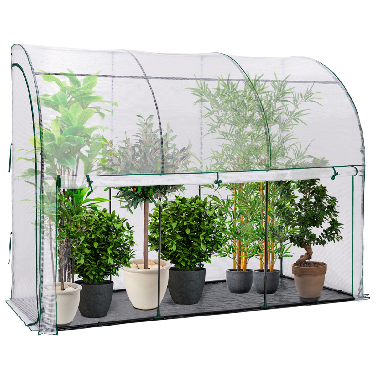 ID MARKET Serre d'hivernage murale adossée 300 x 80 x 160 cm double ouverture balcon et terrasse