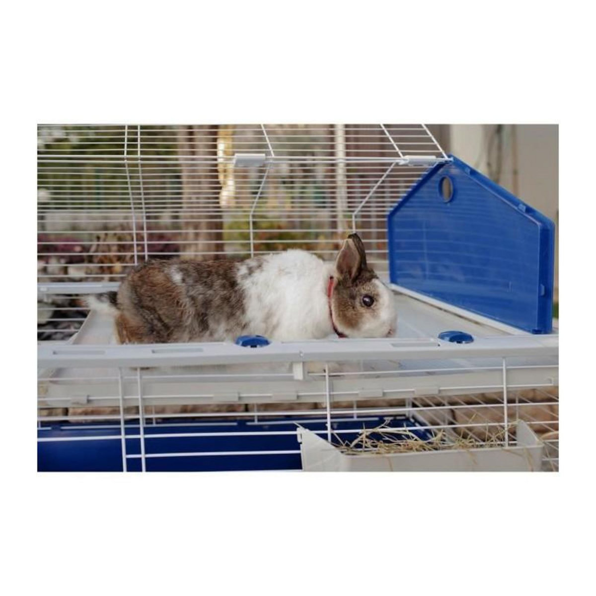 Ferplast CAGE BARN 80 GREY x1