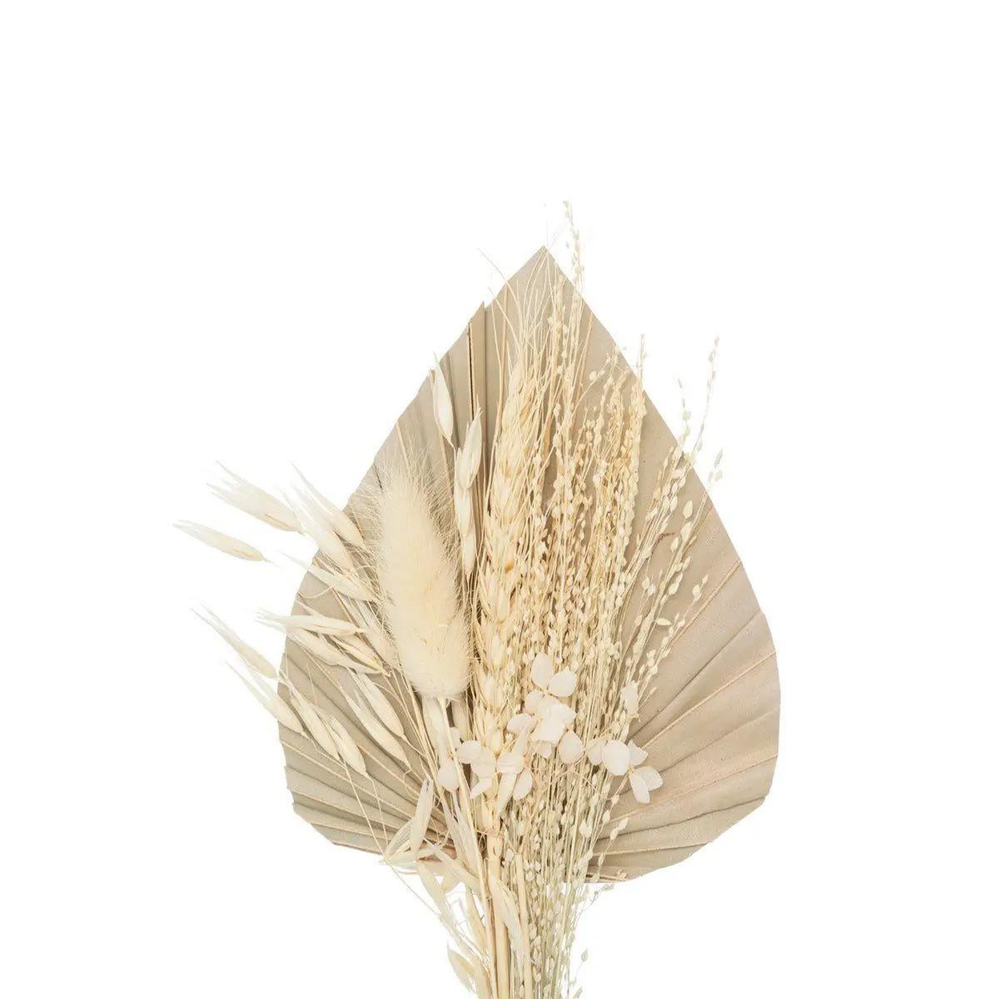 Voir la diapositive 2 : ATMOSPHERA Mini bouquet de fleurs naturelles  seav  30cm beige