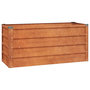 Voir la diapositive 2 : VIDAXL Lit sureleve de jardin rouille 100x40x45 cm acier corten