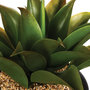 Voir la diapositive 2 : ATMOSPHERA Plante Artificielle  Aloe Vera  31cm Vert
