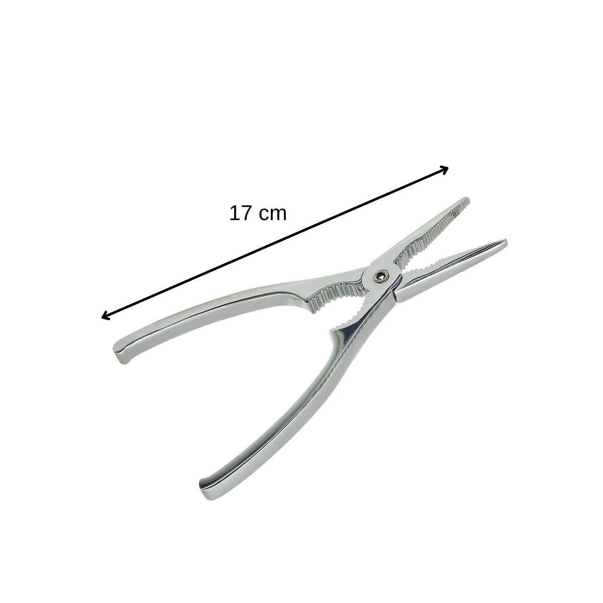 Fackelmann Pince à crustacés et à Homard 17 cm Fackelmann