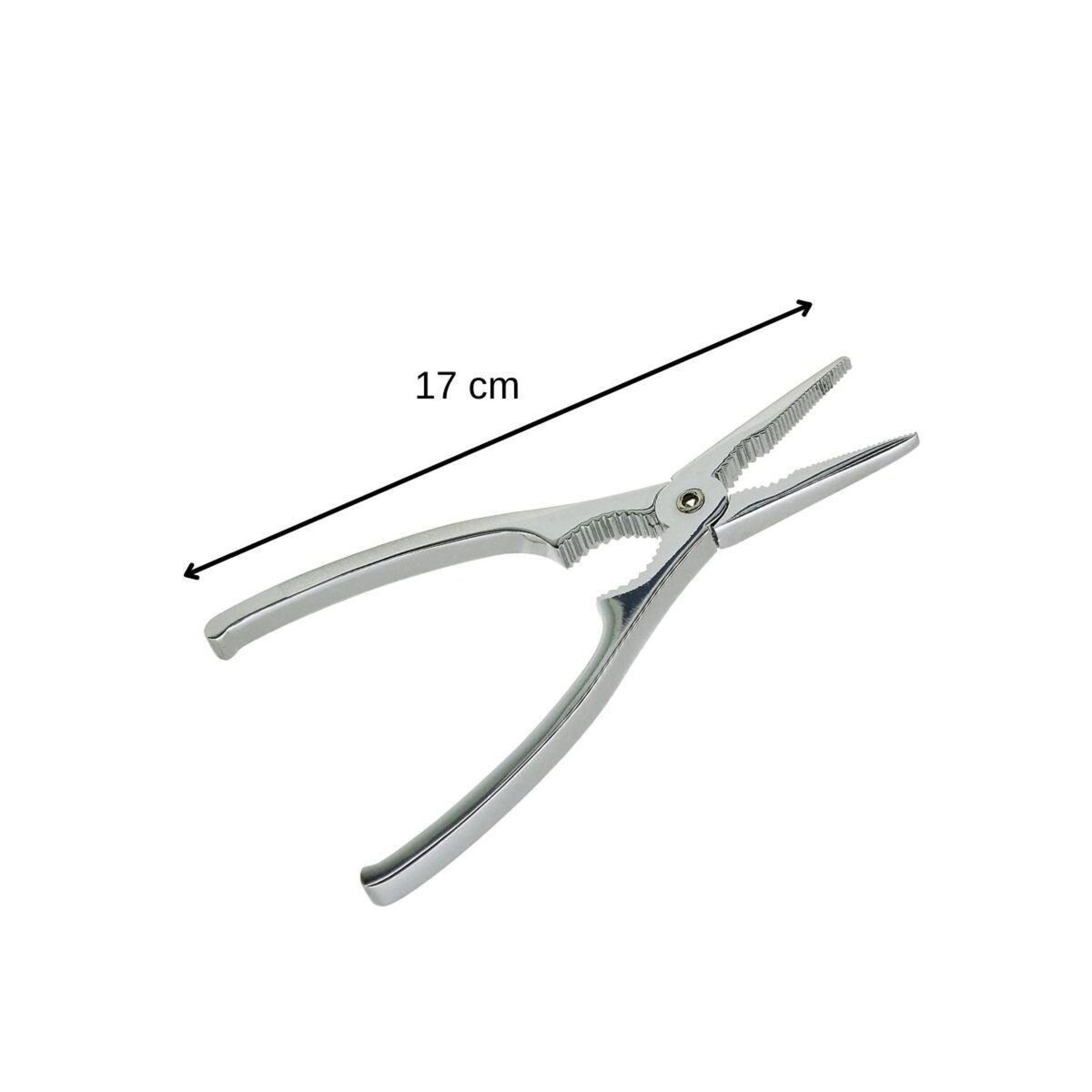 Fackelmann Pince à crustacés et à Homard 17 cm Fackelmann