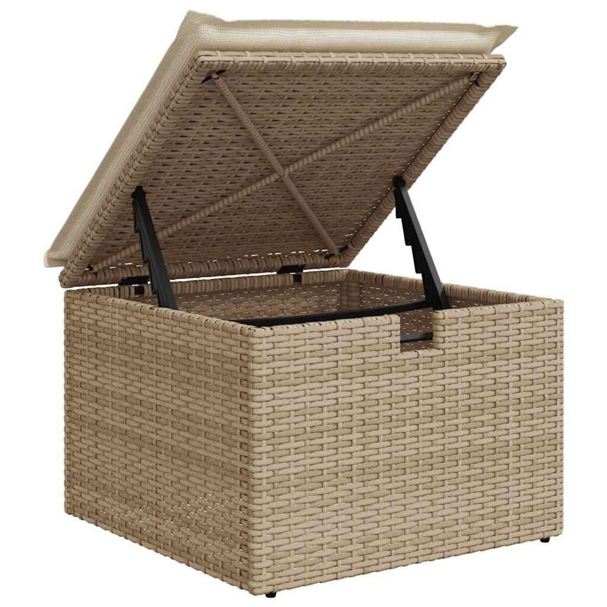 VIDAXL Salon de jardin avec coussins 2 pcs beige resine tressee acacia