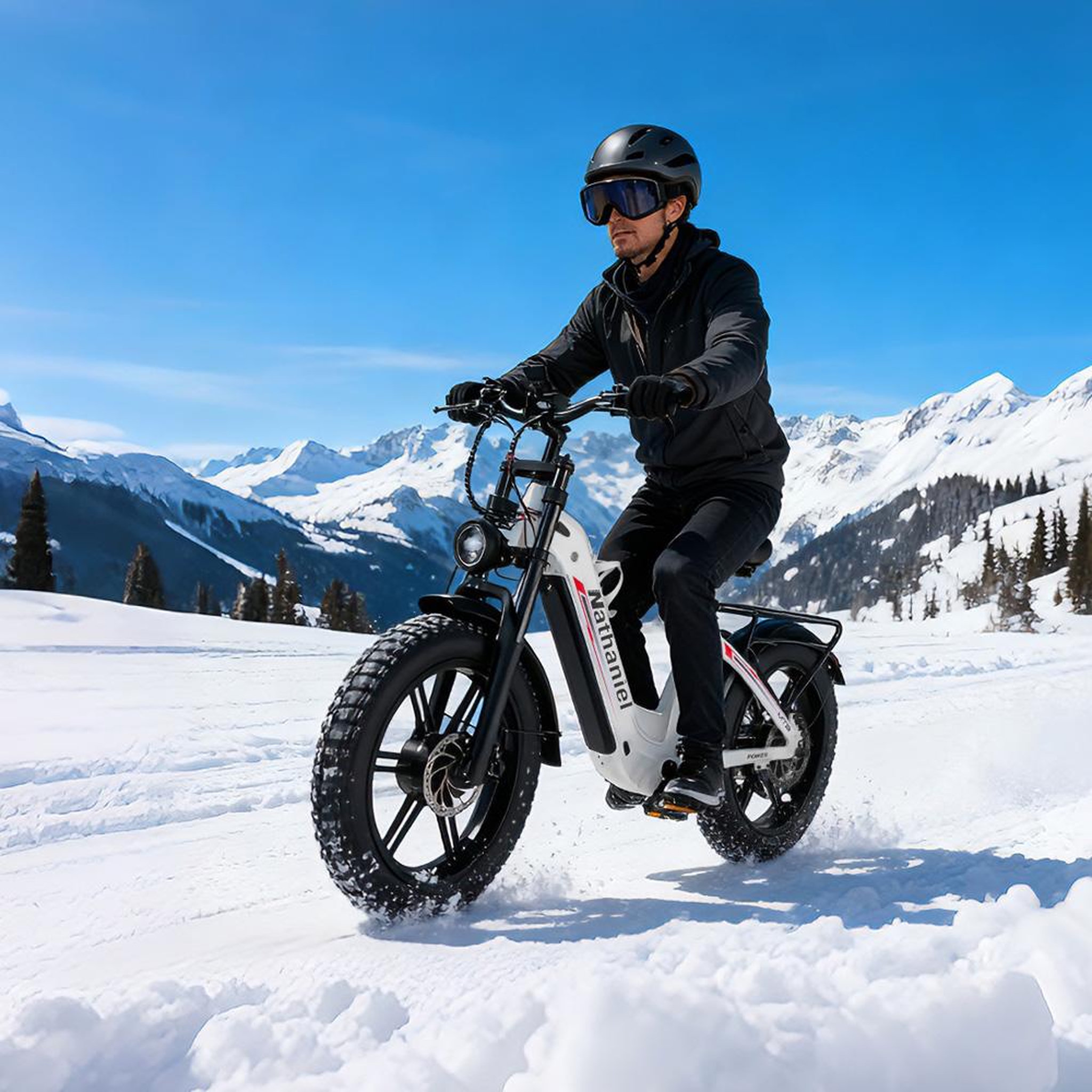Voir la diapositive 5 : NATHANIEL Dual-motor electric bike nathaniel syr08