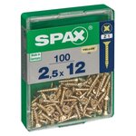 CENTRALE BRICO Lot de 100 vis acier tête fraisée pozidriv SPAX, Diam.2.5 mm x L.12 mm
