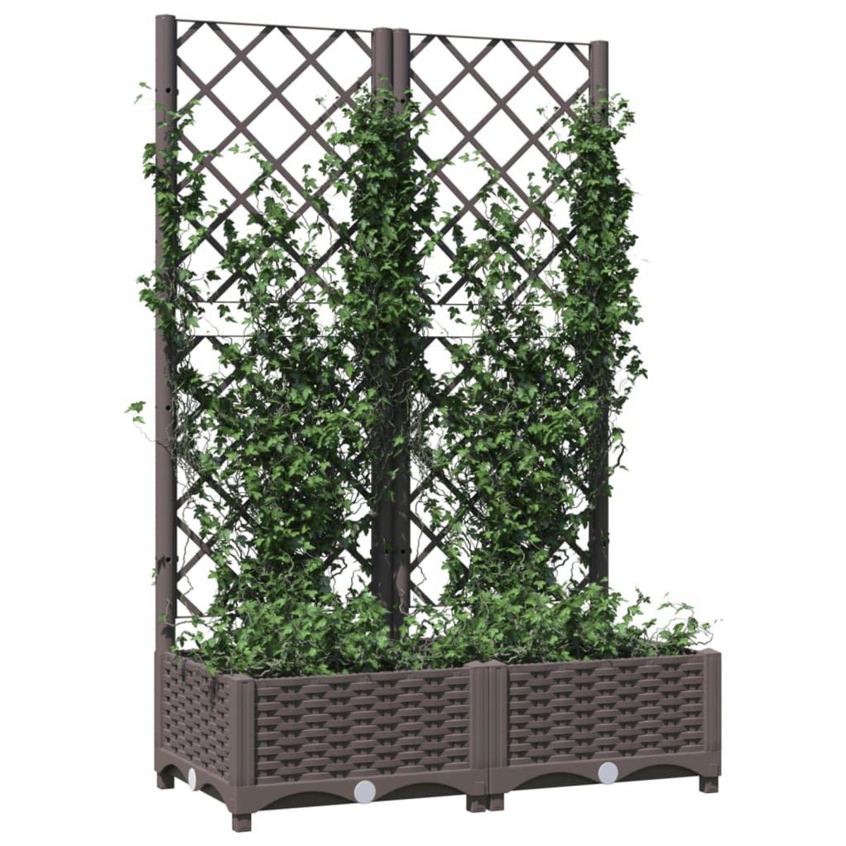 VIDAXL Jardiniere avec treillis Marron 80x40x121,5 cm PP