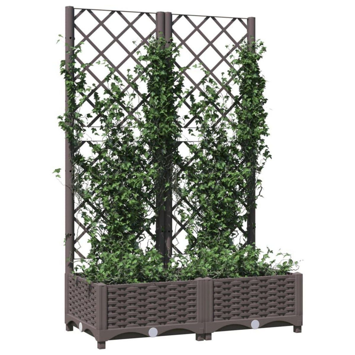VIDAXL Jardiniere avec treillis Marron 80x40x121,5 cm PP