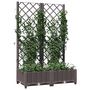 Voir la diapositive 3 : VIDAXL Jardiniere avec treillis Marron 80x40x121,5 cm PP