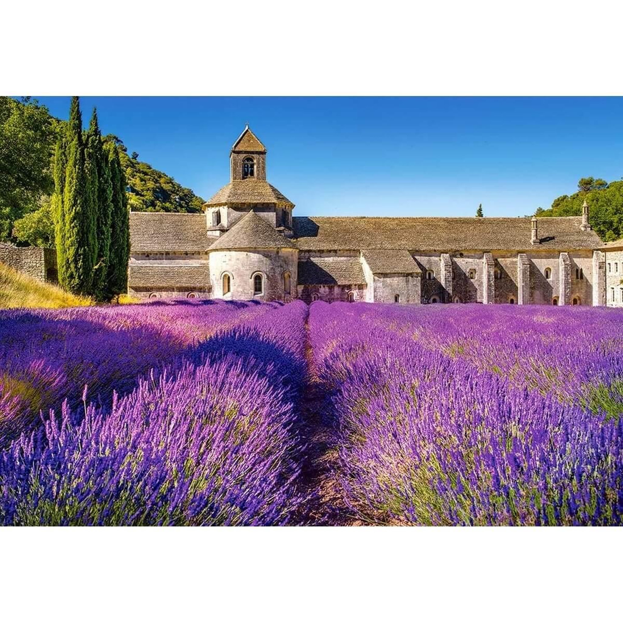 Voir la diapositive 1 : Castorland Puzzle 1000 pièces : Champ de lavande en provence, France