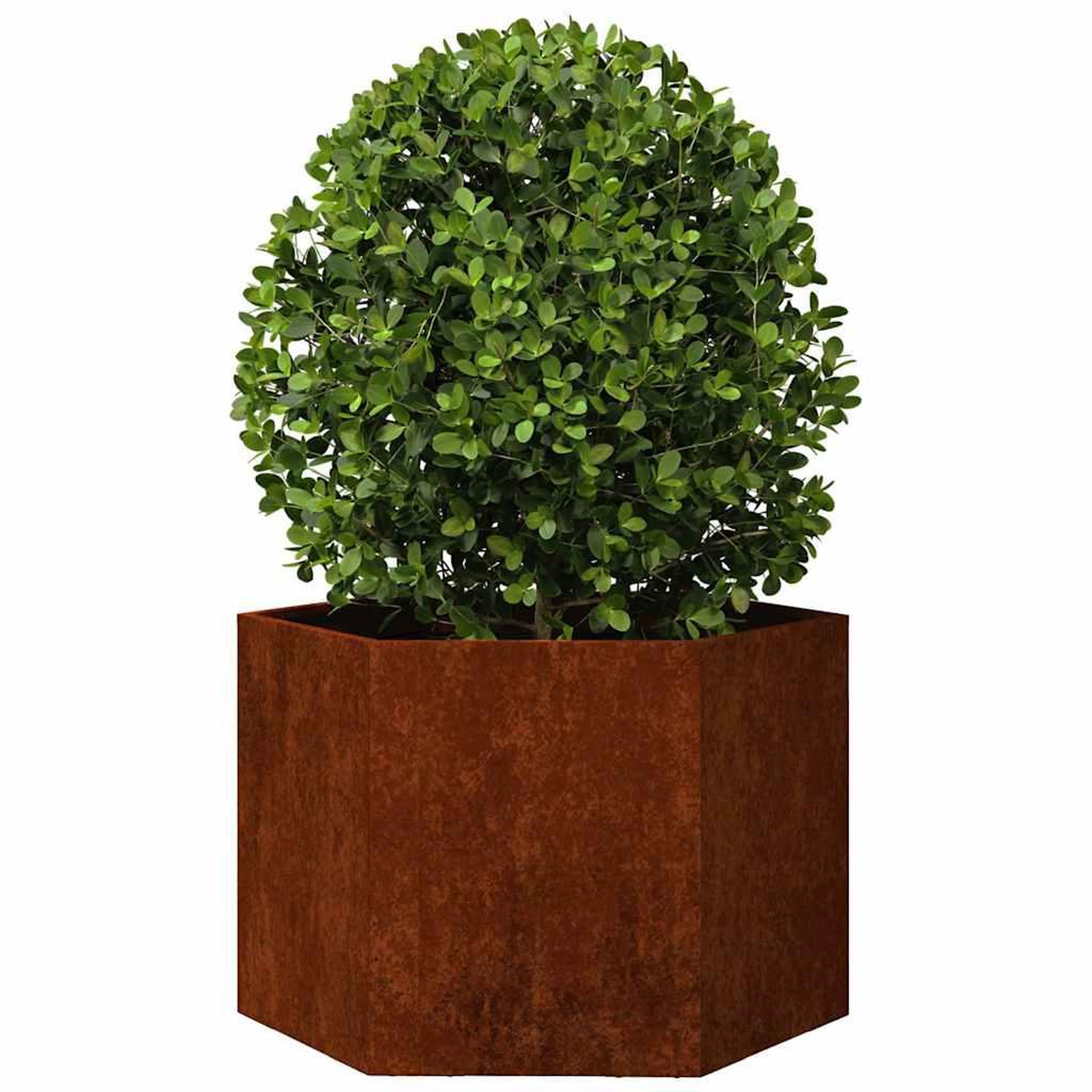 Voir la diapositive 3 : VIDAXL Jardiniere Rouille 60x60x45 cm Acier corten