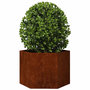 Voir la diapositive 3 : VIDAXL Jardiniere Rouille 60x60x45 cm Acier corten