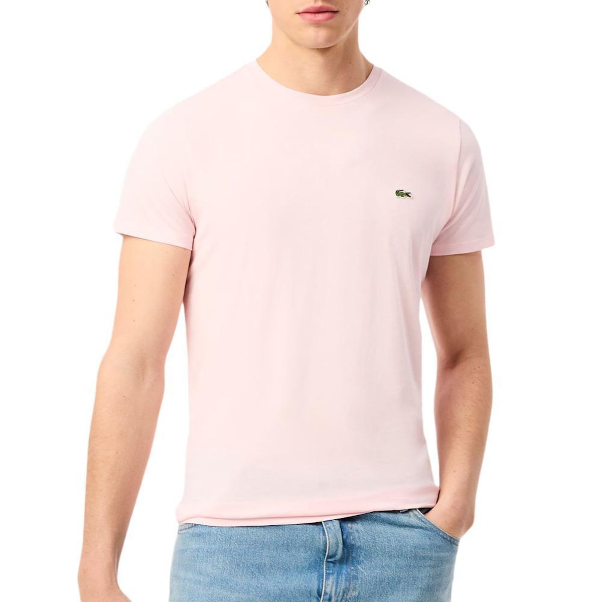 Lacoste T Shirt  Clair Homme Lacoste Pima
