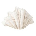 Paris Prix Vase Coquillage en Résine  Puglia  57cm Blanc