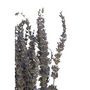 Voir la diapositive 2 : Paris Prix Bouquet de Fleurs Séchées  Lavande  73cm Mauve