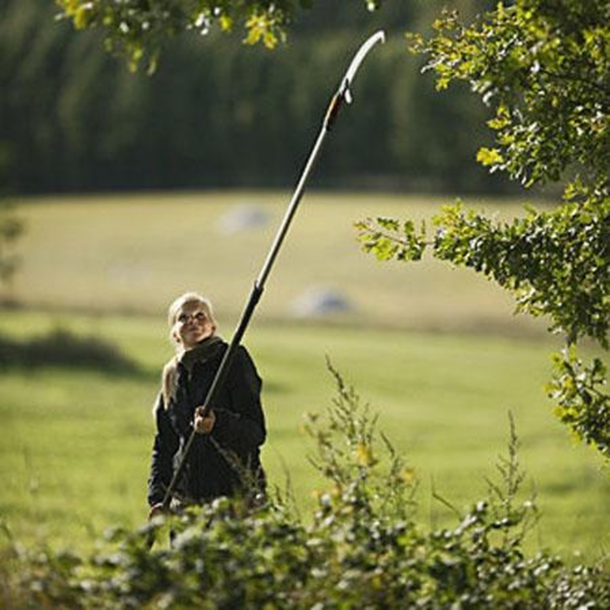 Voir la diapositive 2 : FISKARS Scie courbée Quikfit