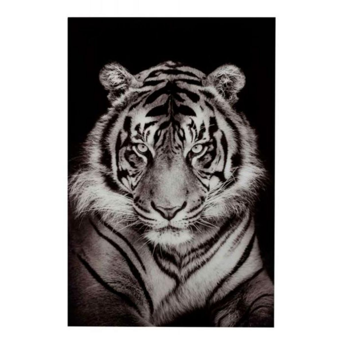 Paris Prix Toile Déco  Tigre  100x150cm Noir & Blanc