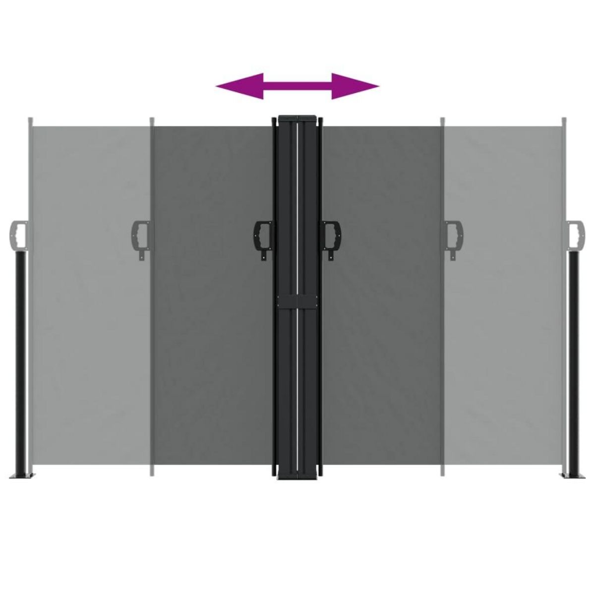 VIDAXL Auvent lateral retractable anthracite 160x1200 cm