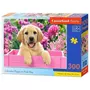 Castorland Puzzle 300 pièces : Labrador dans une boîte rose