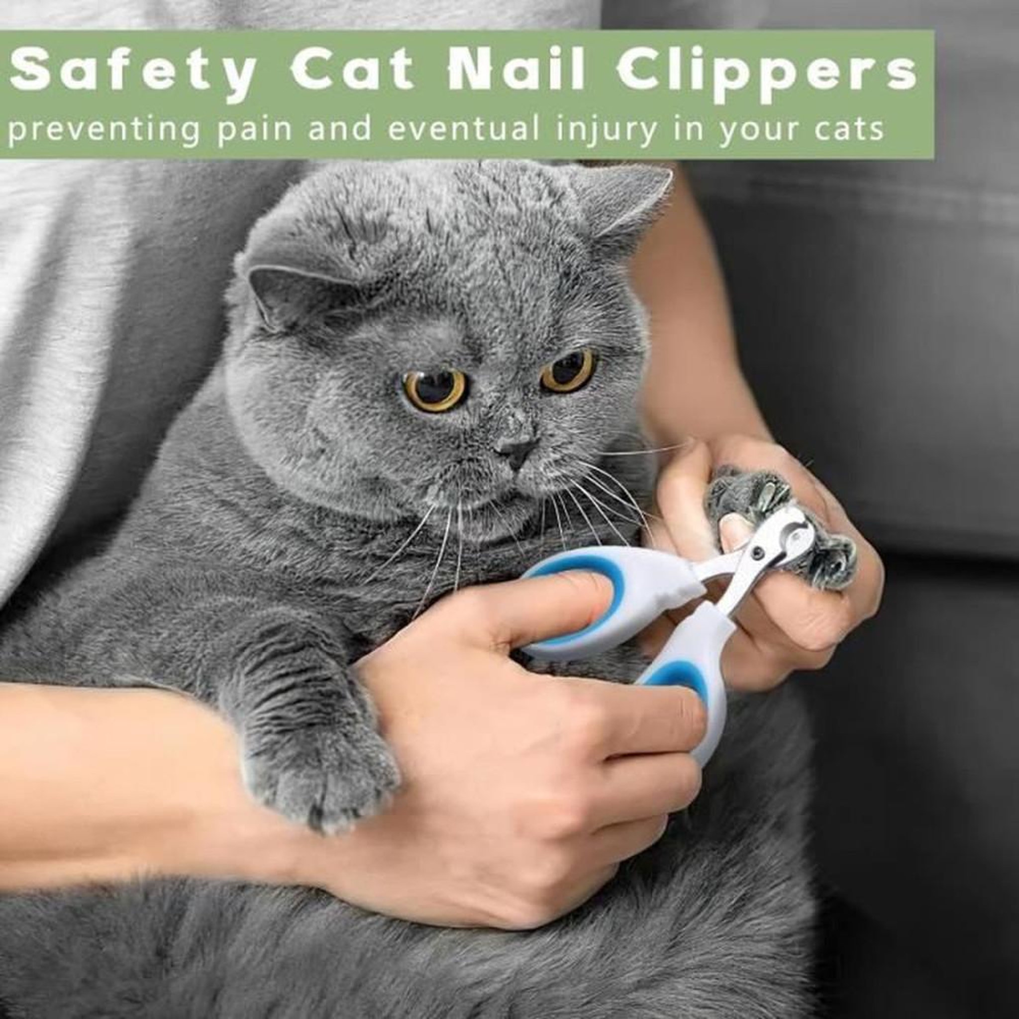 Voir la diapositive 3 : Coupe-ongles professionnel blanc avec trou de positionnement pour chats, petits chiens, lapins et chatons