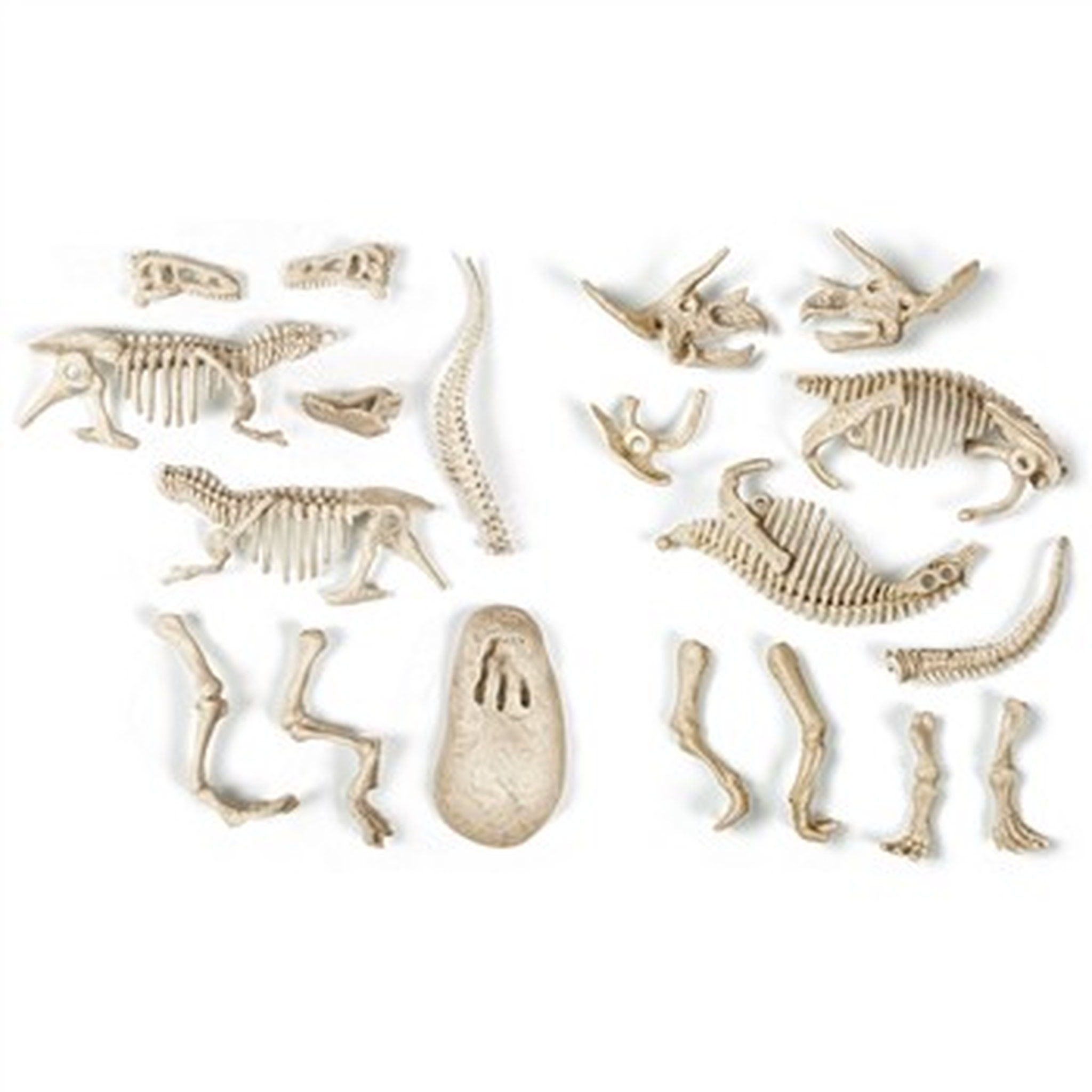 Voir la diapositive 3 : CLEMENTONI Archéo Ludic' T-rex & Tricératops