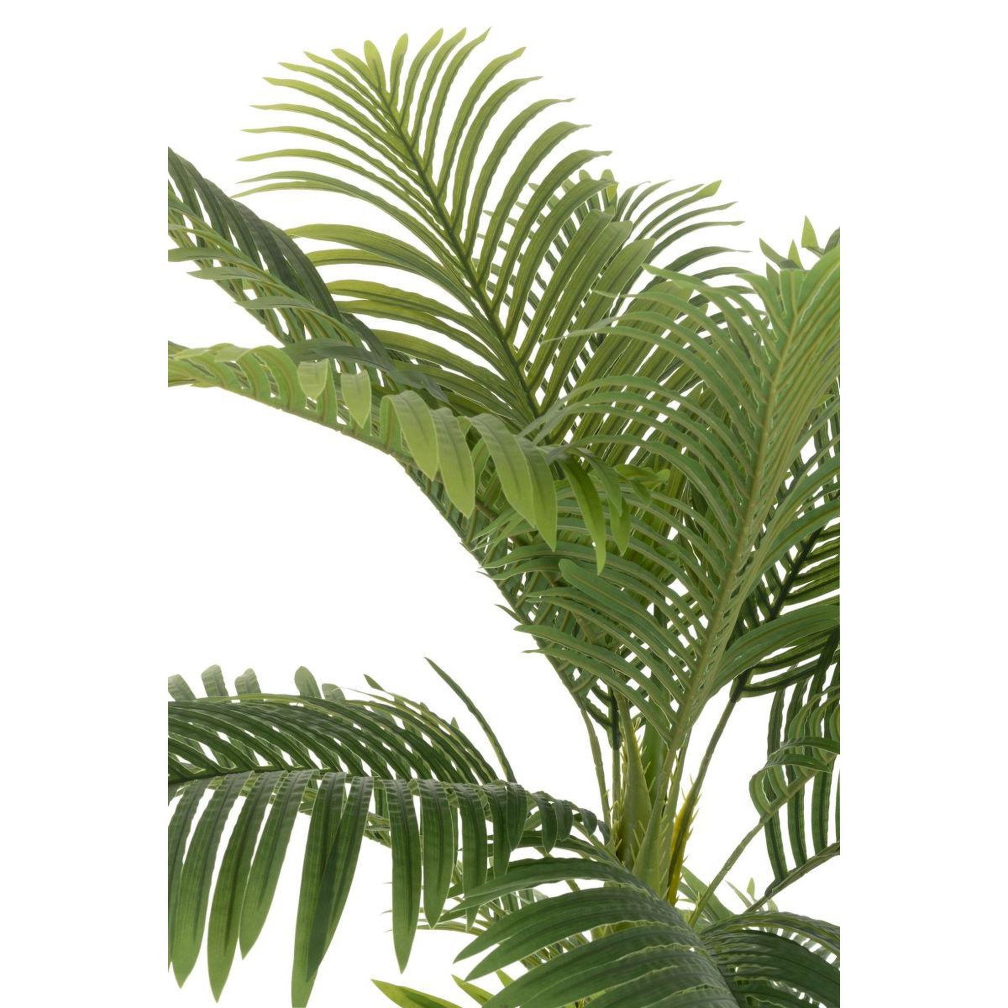Voir la diapositive 2 : J-LINE Palmier artificiel en pot  areca  180cm vert