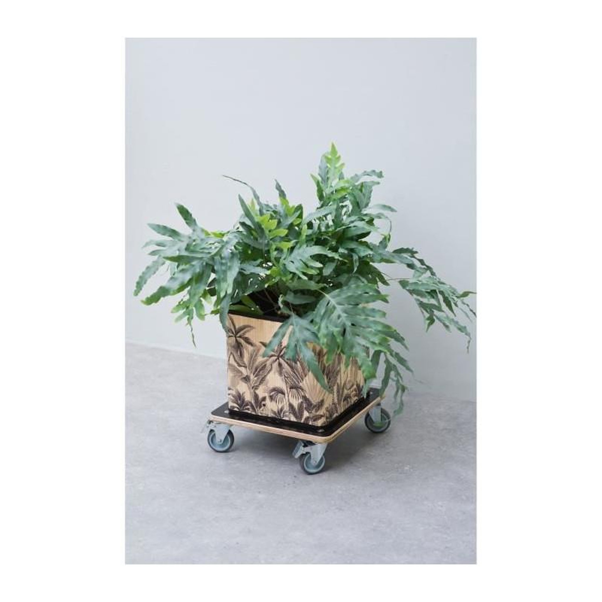 Voir la diapositive 3 : NATURE Support roulant - bois FSC®, coloris noir, charge maxi 250 kg, 4 roulettes - 38 x 38 cm - Nature