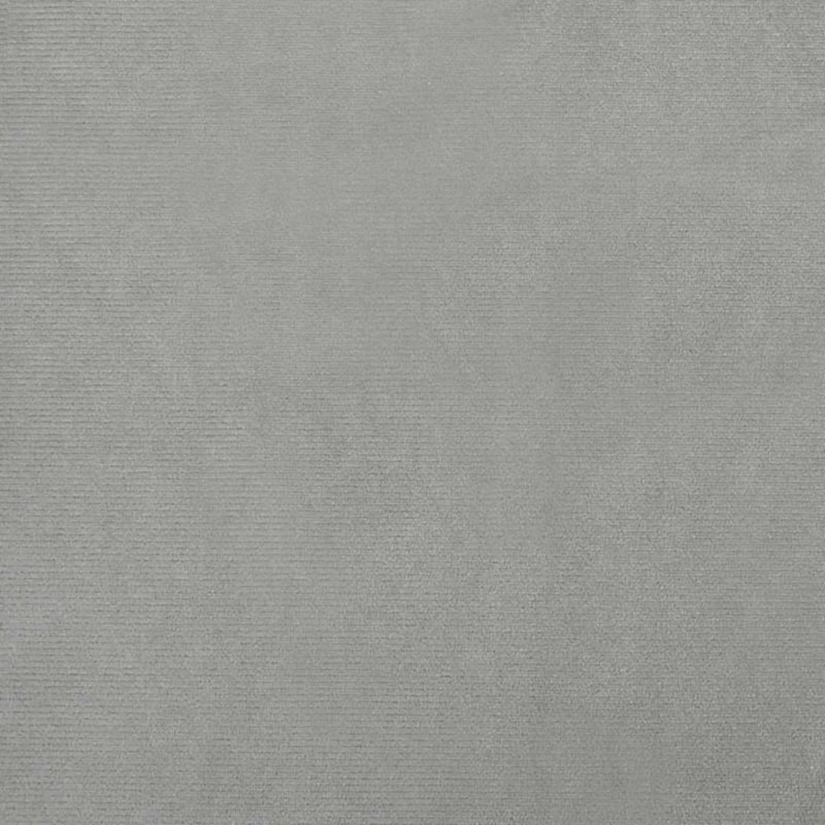 VIDAXL Lit pour chien gris clair 100x50x21 cm velours