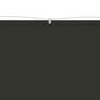 Voir la diapositive 3 : VIDAXL Auvent vertical Anthracite 60x420 cm Tissu oxford