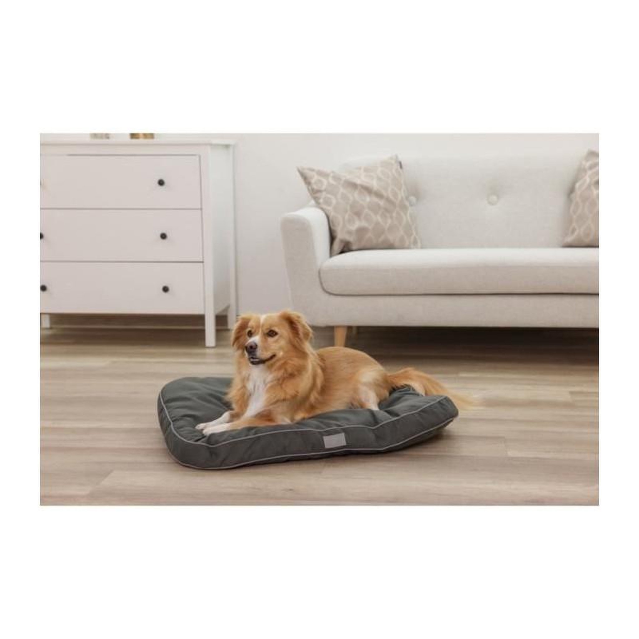 Voir la diapositive 5 : KERBL KERBL - Matelas de sol rembourré L - 80 x 60 x 6 cm - Coussin JEROME - Vert foncé -