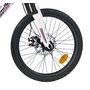 Voir la diapositive 5 : FREERIDER vélo VTT 20'' TS ARIANE AVEC FREIN A DISQUE AVANT + 6 VITESSES SHIMANO