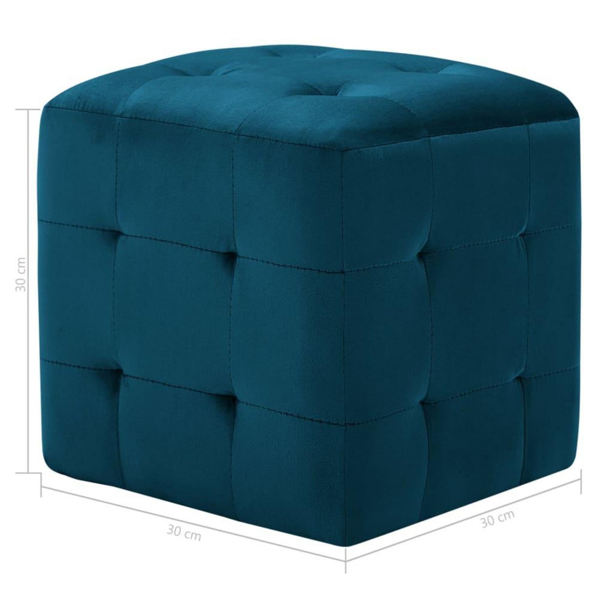 VIDAXL 2 pcs Poufs Bleu 30 x 30 x 30 cm Tissu velours