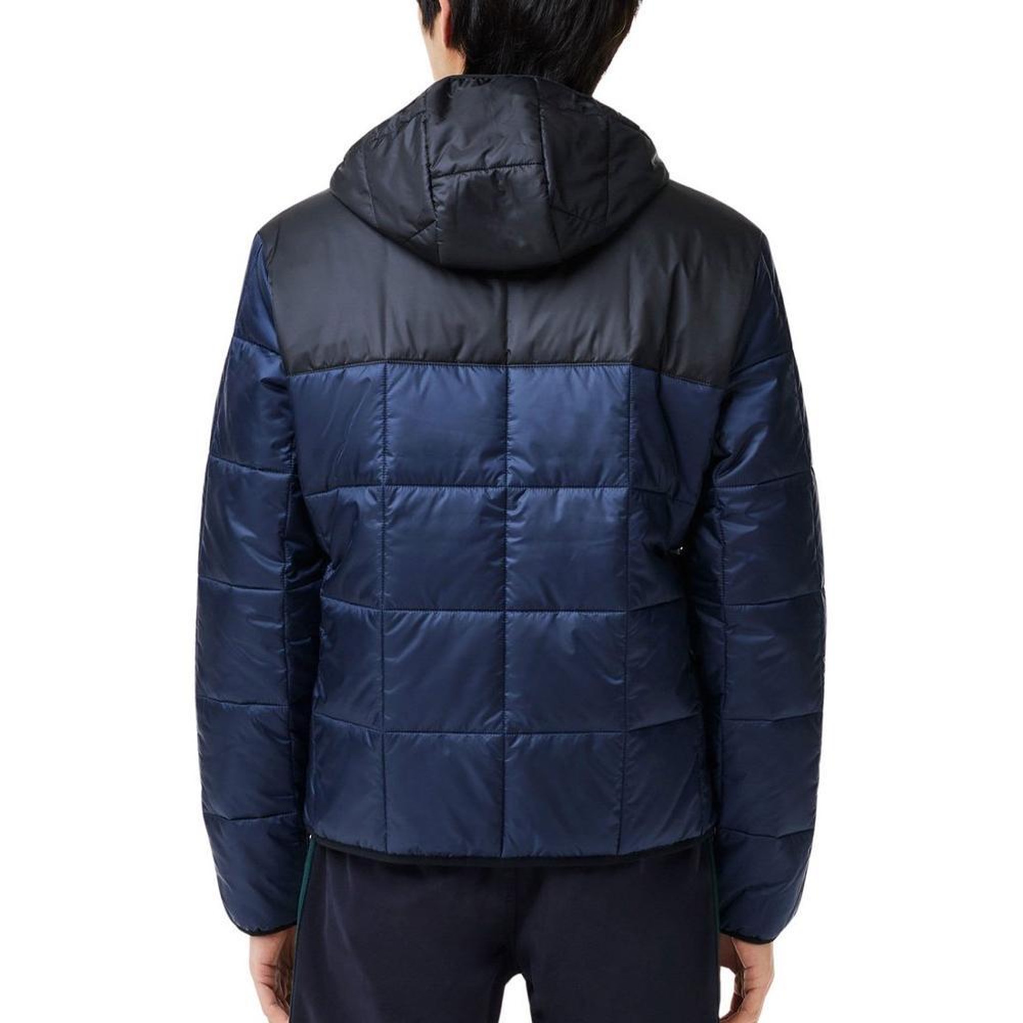 Voir la diapositive 5 : Lacoste Doudoune marine homme lacoste bh1666