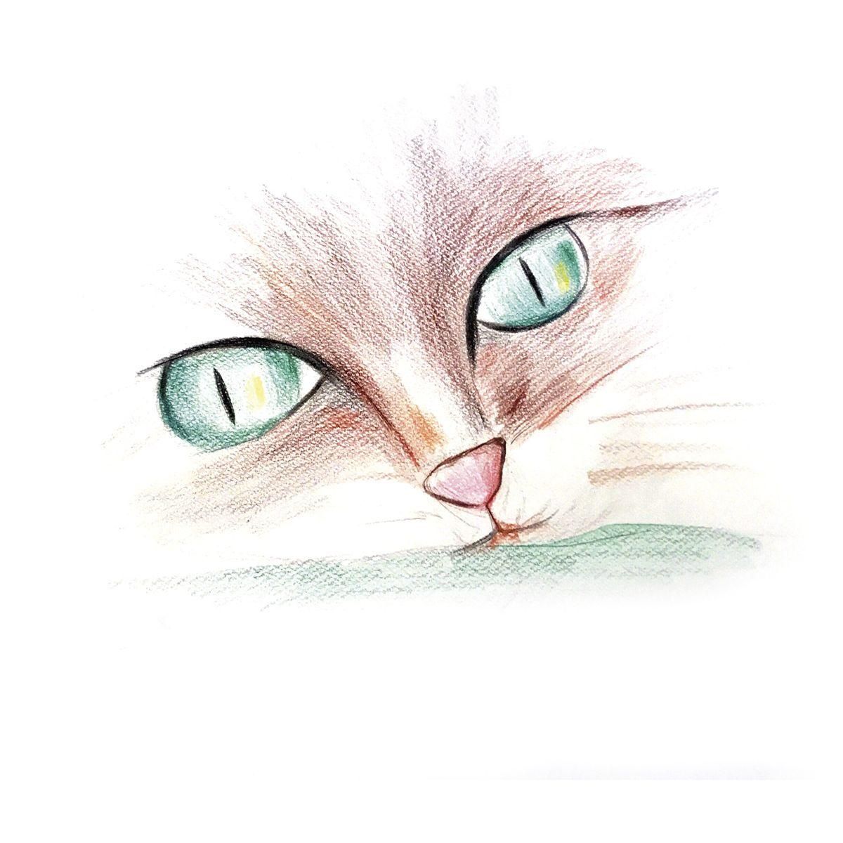 BIC Etui de 24 crayons de couleur Kids Evolution