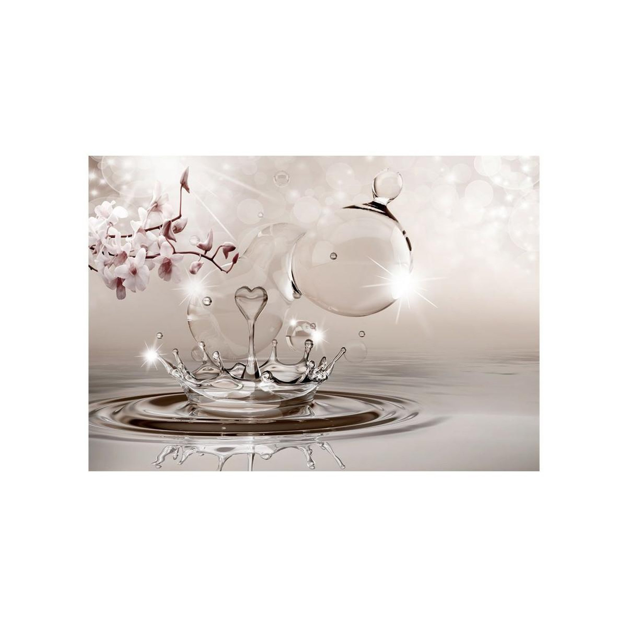Voir la diapositive 2 : Paris Prix Papier peint  nature of love