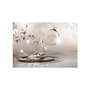 Voir la diapositive 2 : Paris Prix Papier Peint  Nature of Love