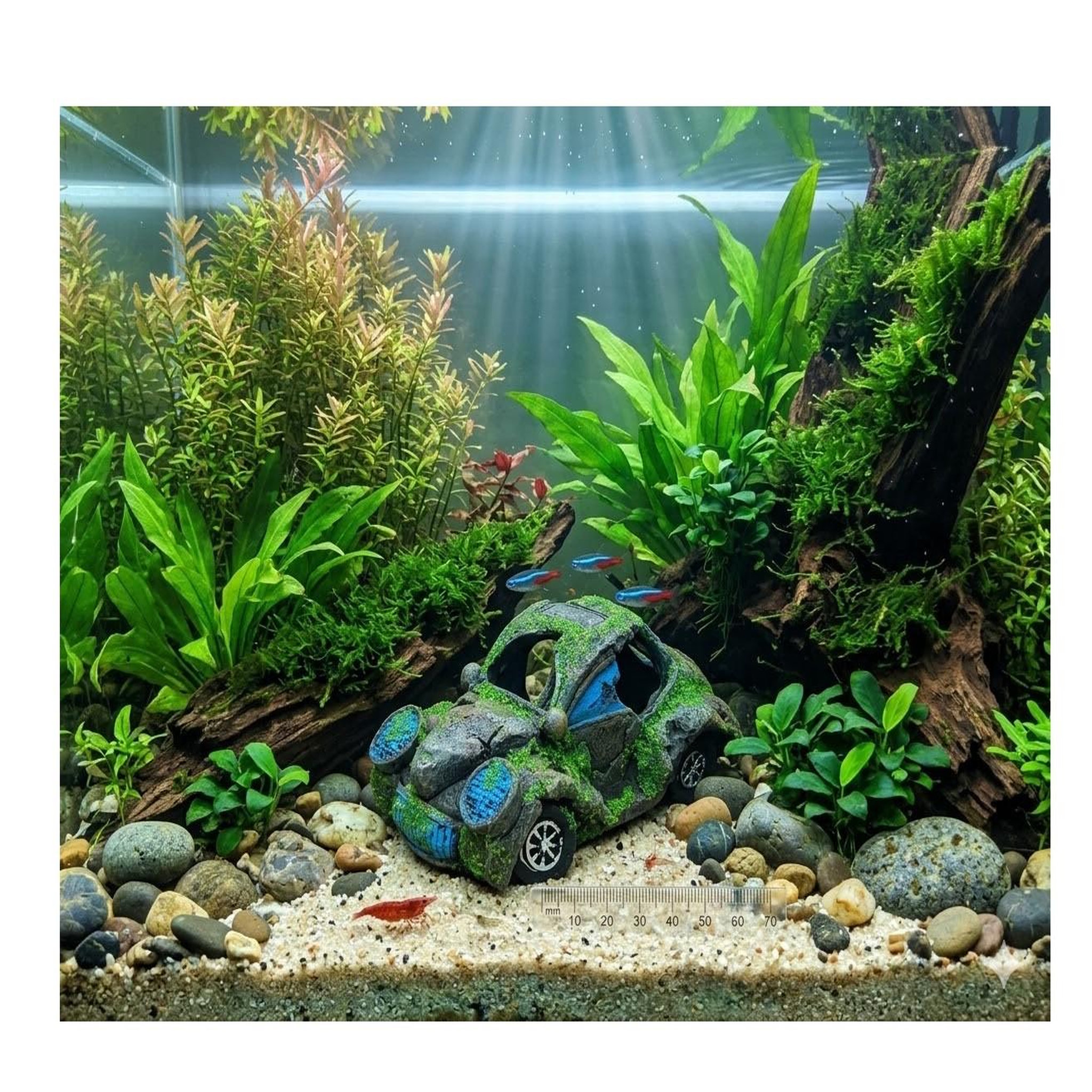 Voir la diapositive 3 : Eden Décoration aquarium voiture scarabée cachette effet mousse