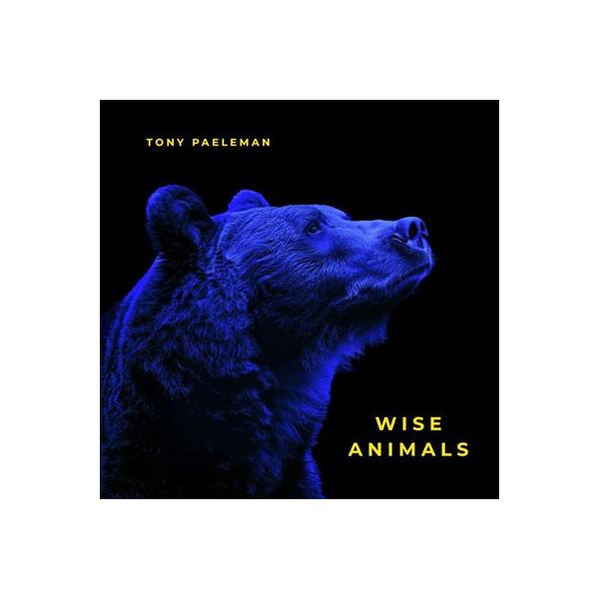 N/A Livre wise animals de tony paeleman, portrait d'animaux illustré, couverture tons bleus et