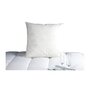 Voir la diapositive 1 : DODO DODO Oreiller Duvet Oie MORZINE Anti-Acariens 65x65cm blanc