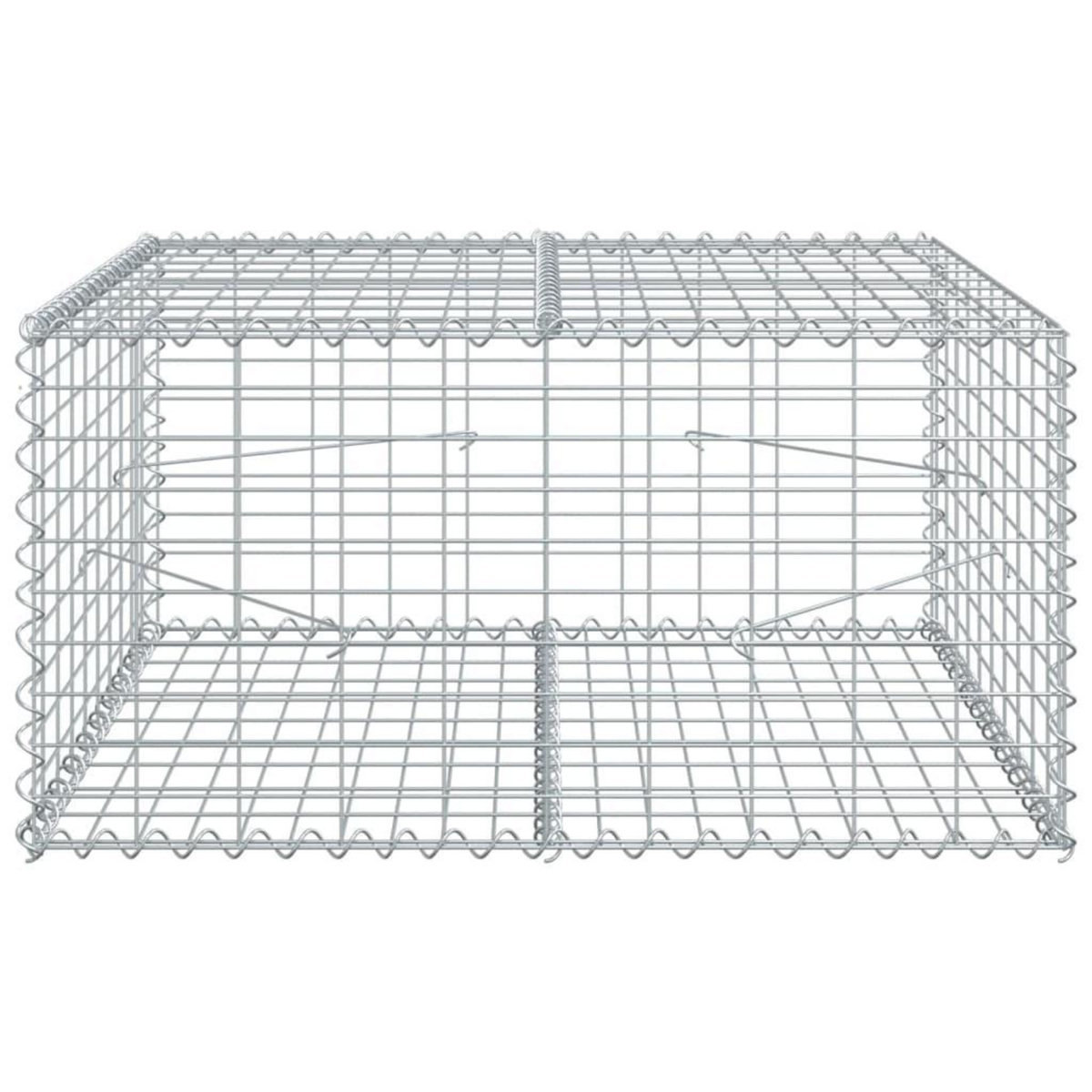 VIDAXL Panier gabion avec couvercle 100x100x50 cm fer galvanise