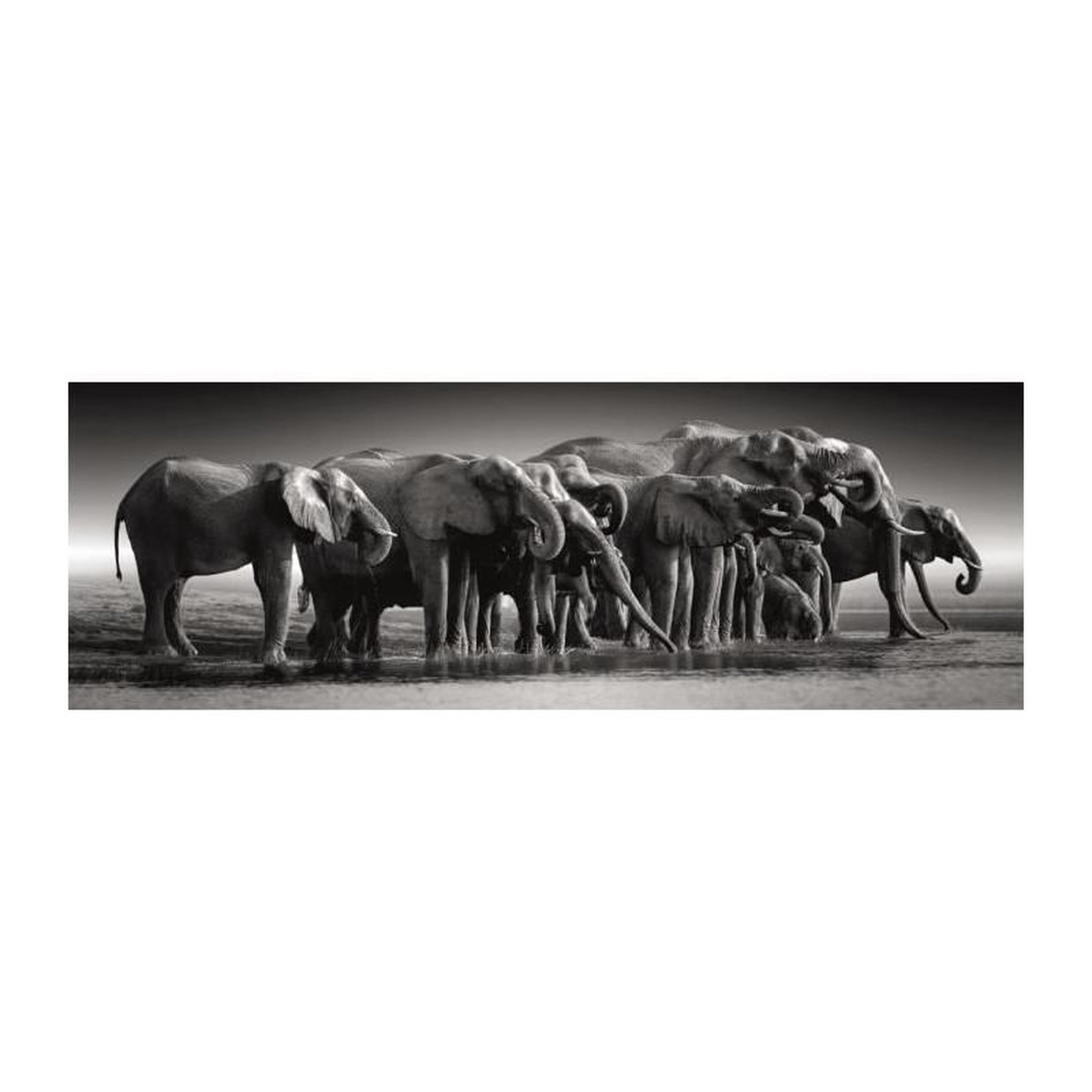 Voir la diapositive 2 : CLEMENTONI Puzzle 1000 pièces Panorama Herd of Giants Compact – Clementoni