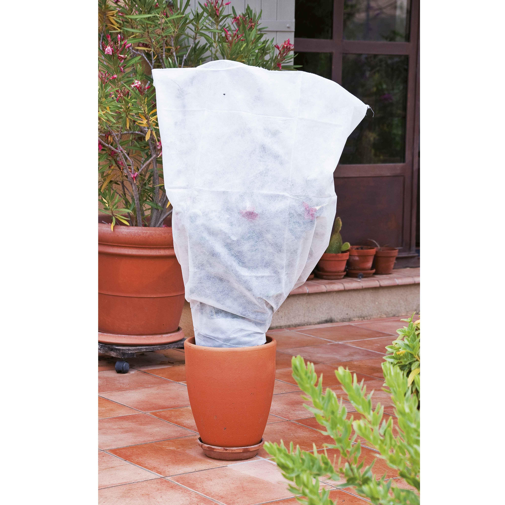 Voir la diapositive 1 :  Lot de 5 housses pour plantes WERKA PRO  80x100cm