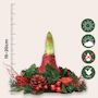 Voir la diapositive 2 : PLANT IN A BOX Amaryllis - Hippeastrum 'Couronne de Noël' - Rouge
