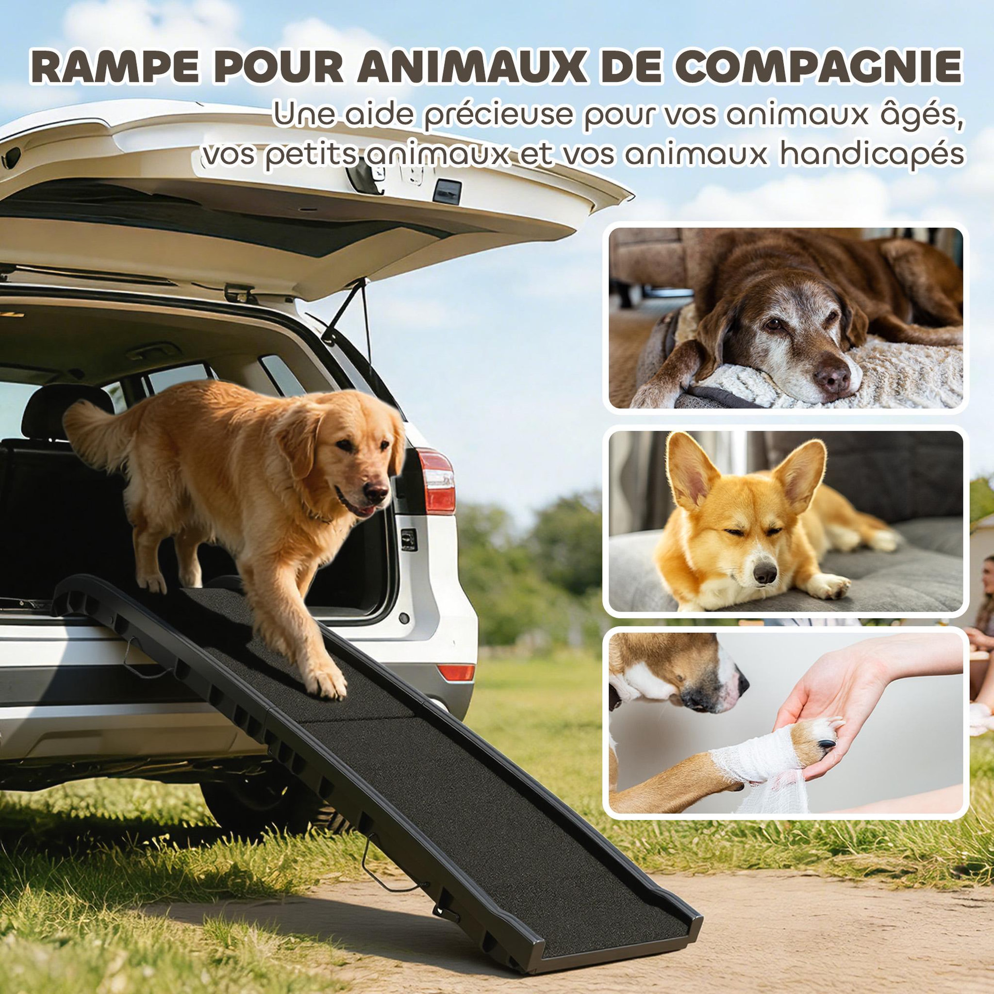 Voir la diapositive 6 : PAWHUT Rampe pliable chien surface antidérapante 155x38x15cm plastique noir