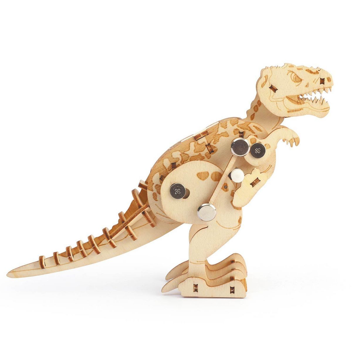 Graine créative T-Rex Maquette en bois 3D mécanique à assembler