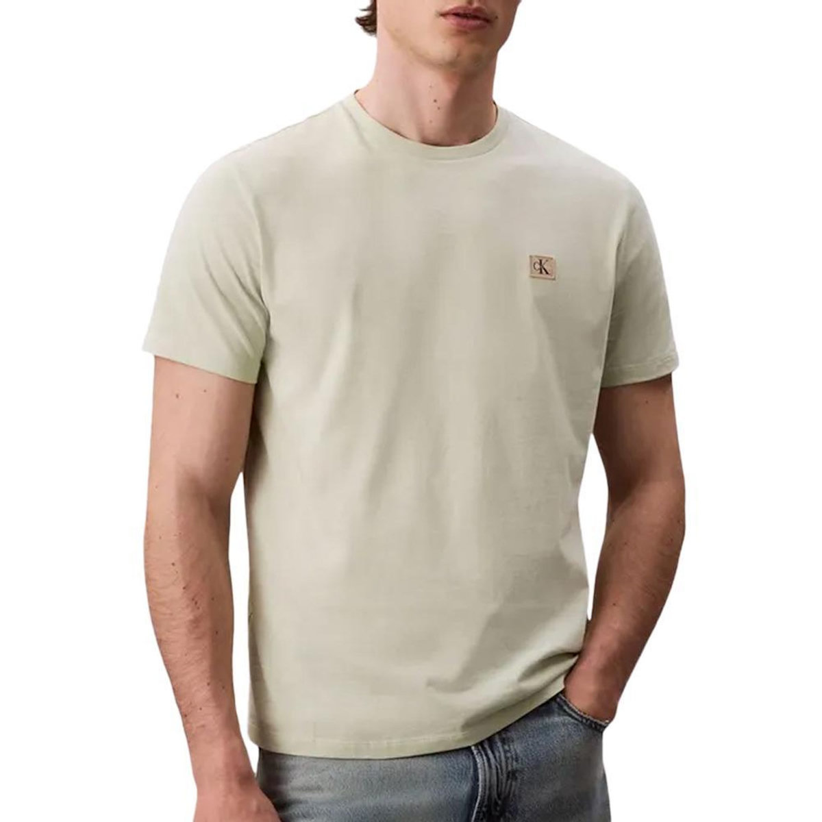 CALVIN KLEIN JEANS T-Shirt Vert Homme Calvin Klein Jeans Badge 30s Jersey-bright