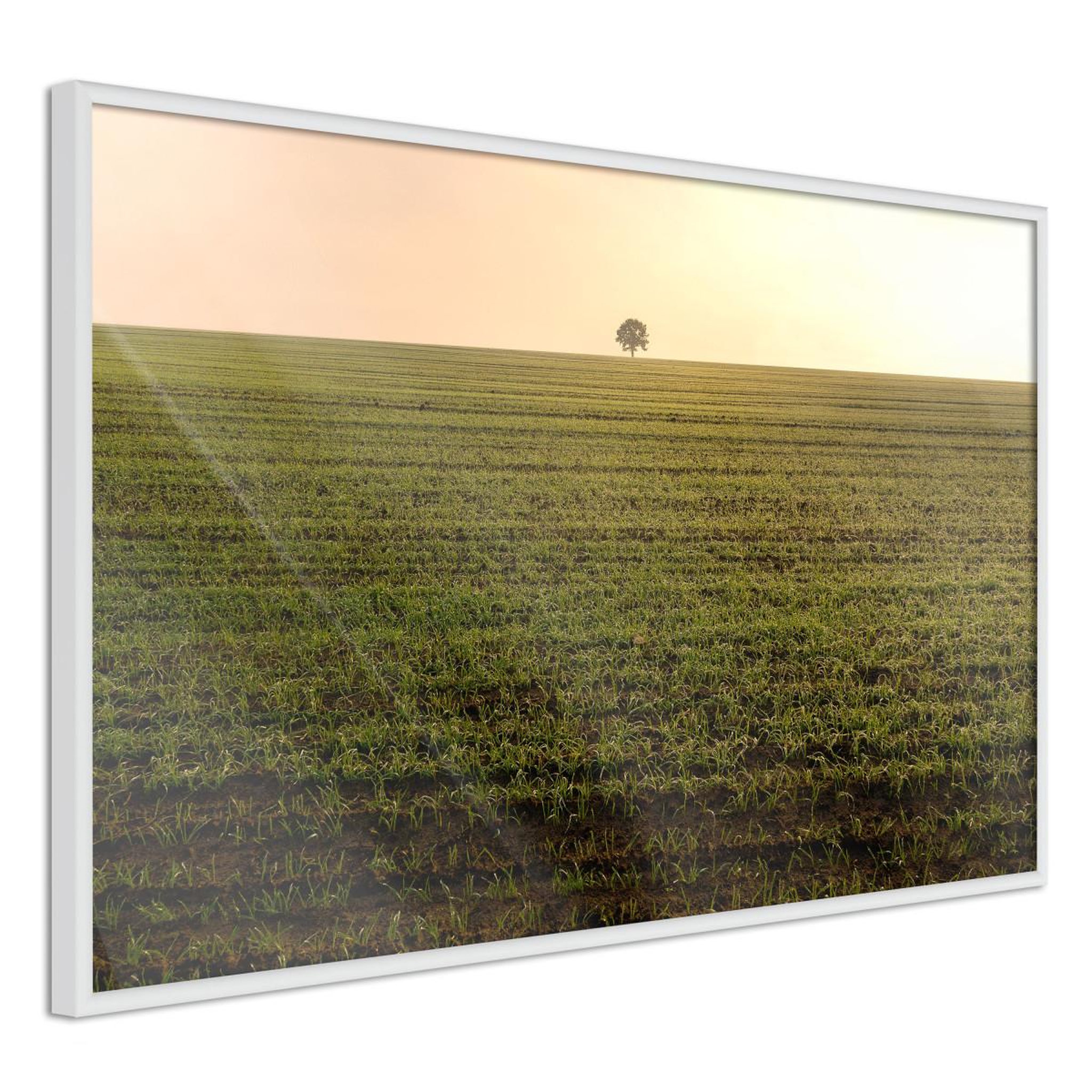 Paris Prix Affiche murale encadrée  farmland