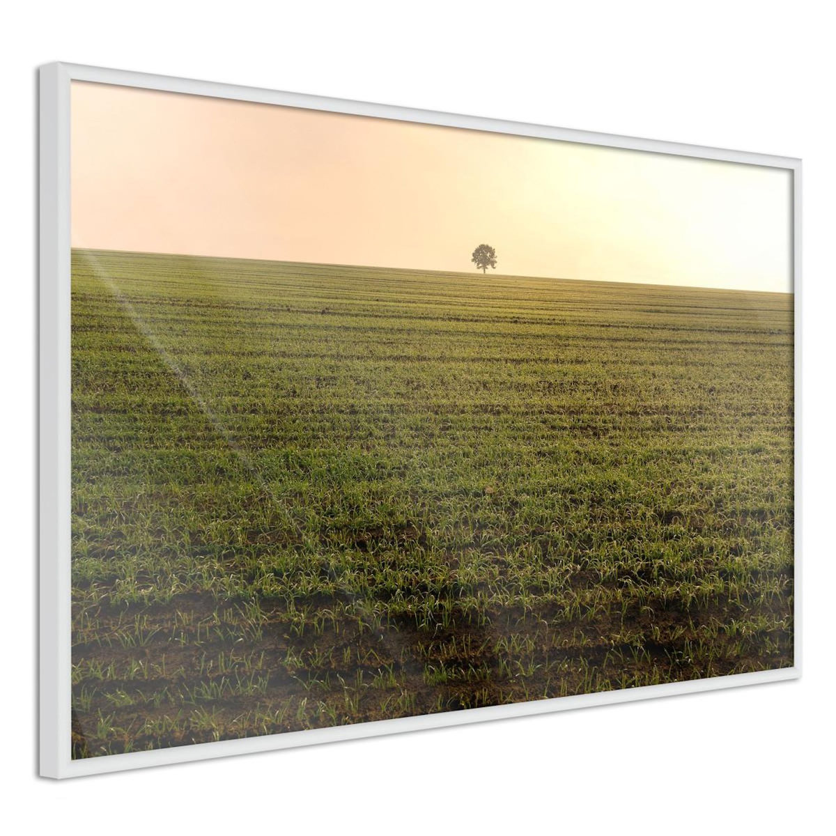 Paris Prix Affiche Murale Encadrée  Farmland
