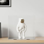 VIDAXL Boîte d affichage transparente 40x36x35 cm acrylique