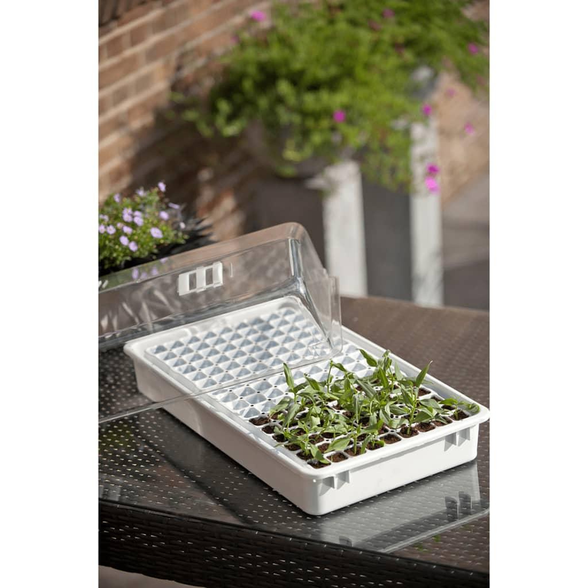 Voir la diapositive 3 : NATURE Nature Jeu de propagateur 55 x 31 x 22 cm